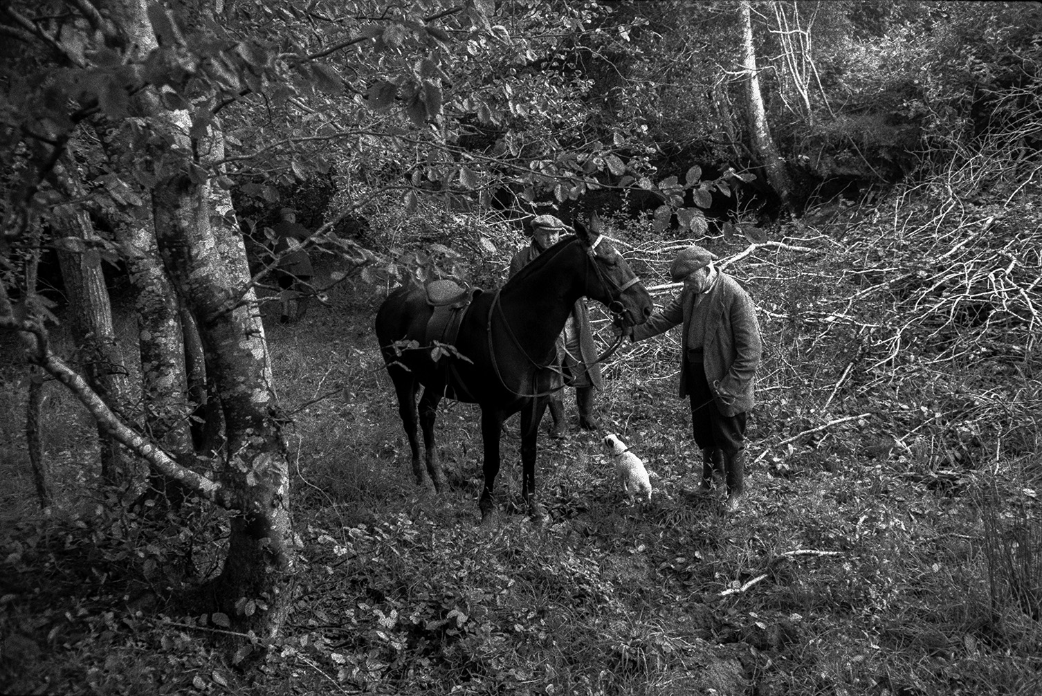 Two men with Mr Grill's horse and a dog at the edge of a wood at Cranford Cross, Torrington, possibly at a hunt. Another man can be seen through the trees in the background.
