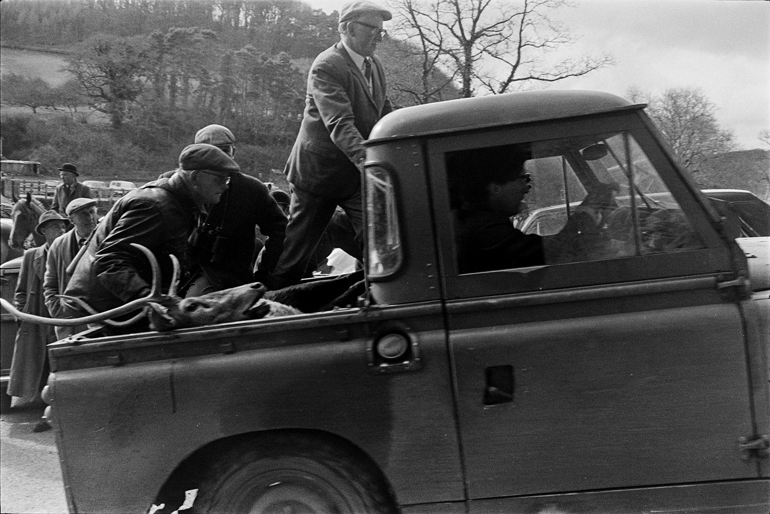 Tiverton Staghound huntsmen and followers loading a dead stag into the back of a pick up truck at Chulmleigh Beacon.