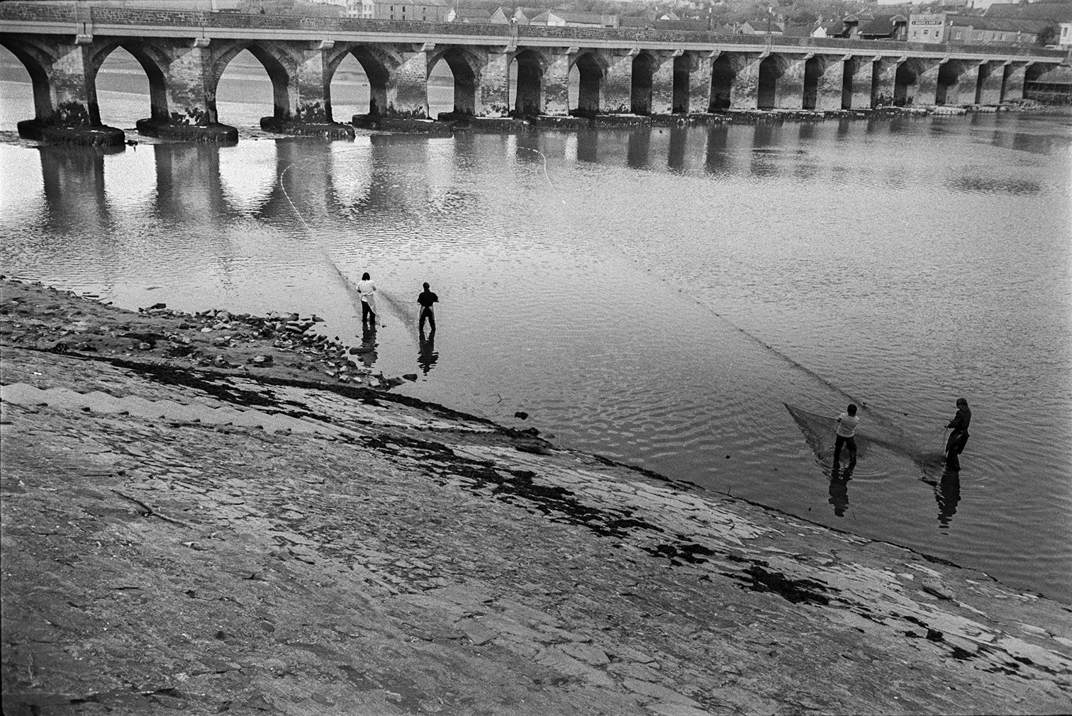 People pulling in salmon nets on the River Torridge at Bideford. Bridge Long Bridge, also known as Bideford Old Bridge, is visible in the background.