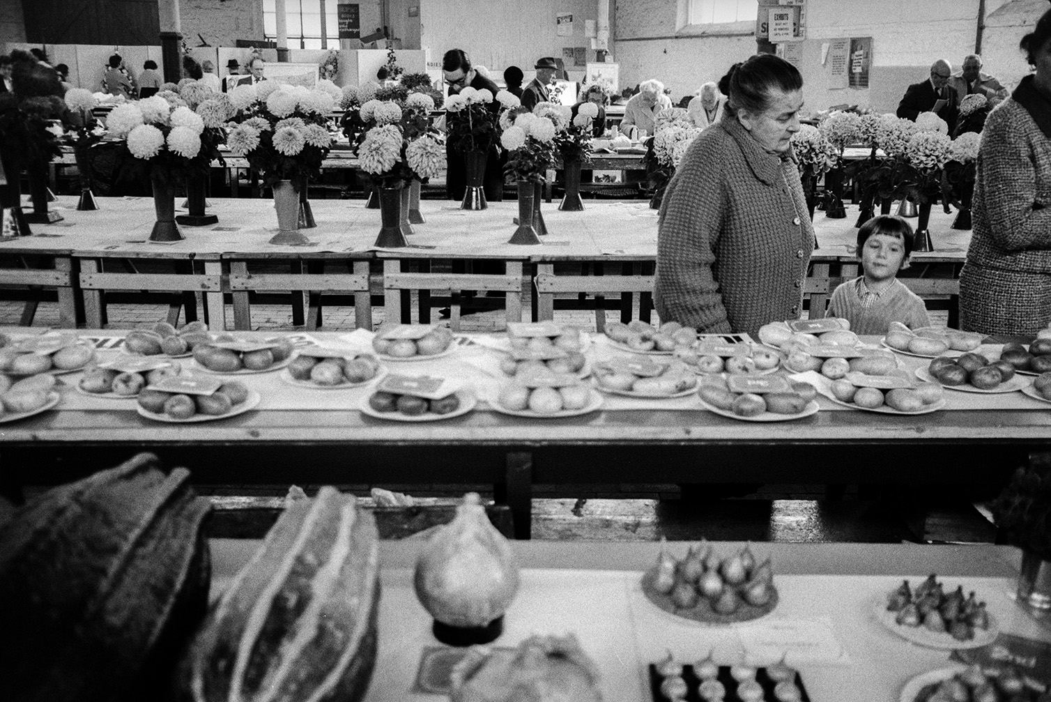 People looking at exhibits at a flower show in Bideford Pannier Market. A woman and child are looking at exhibits of potatoes. Vases of dahlias are displayed in the background and a marrow can be seen in the foreground.