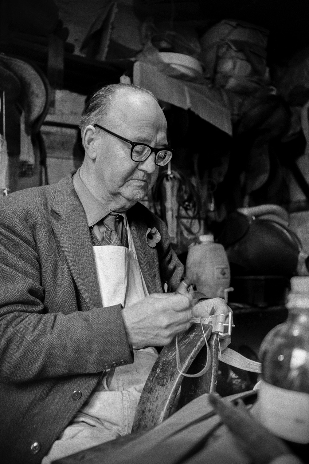 Walter Johns working on a leather belt or strap in his saddlery workshop at Bideford. He is sewing on the buckle. Various items can be seen in the workshop in the background.