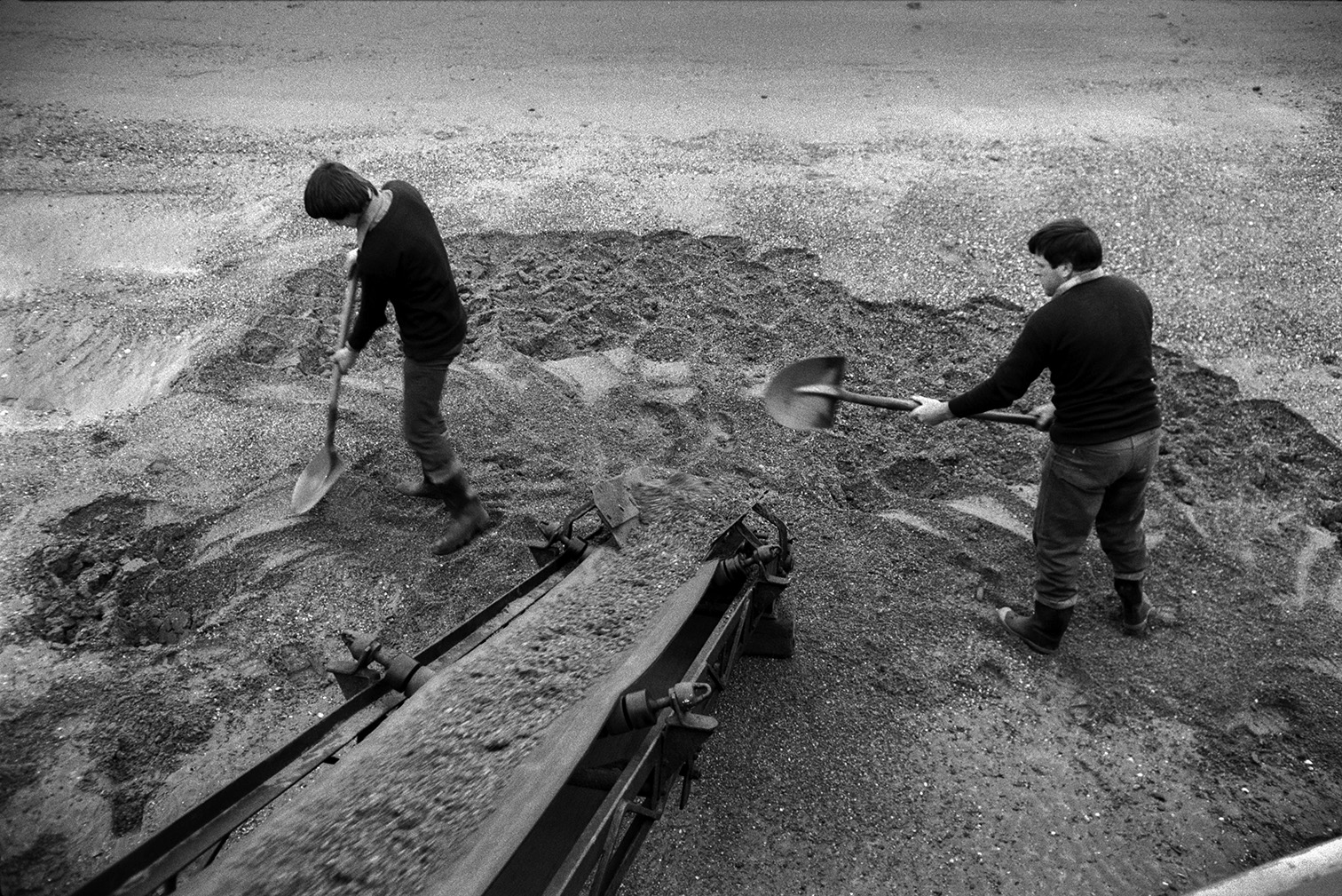 Men shovelling sand from the beach onto a conveyor belt or elevator attached to a sand barge at Crow Point, Braunton. The image is taken from the barge.