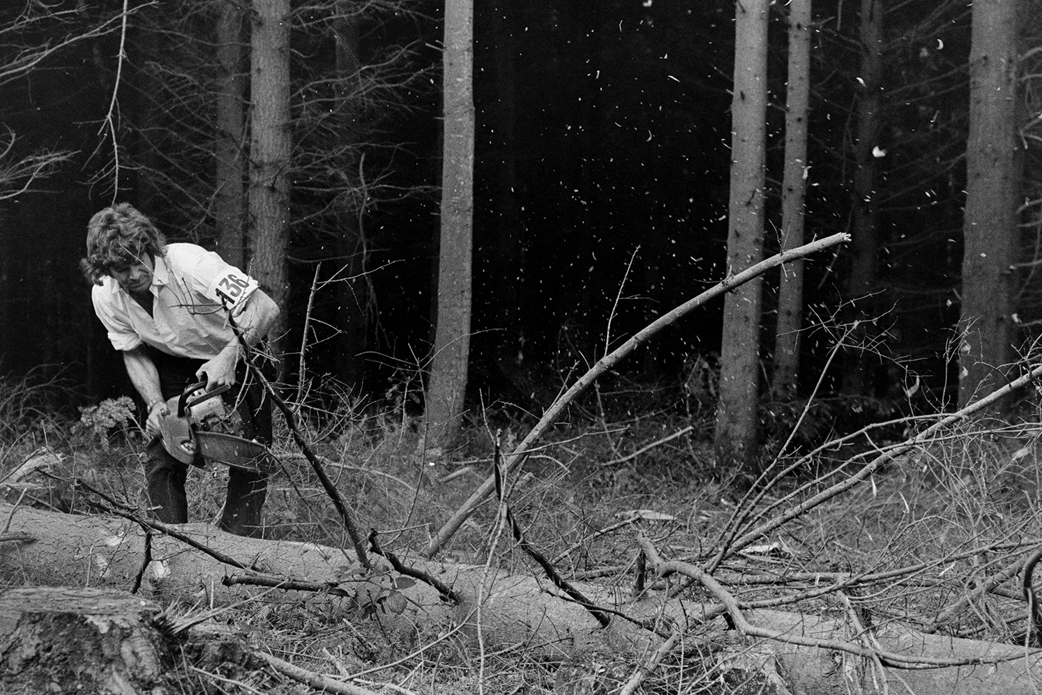 A Tree felling contest at Eggesford Forest. A man is cutting branches off a felled tree using a chainsaw. The competition was a prelude to the Devon County Show.