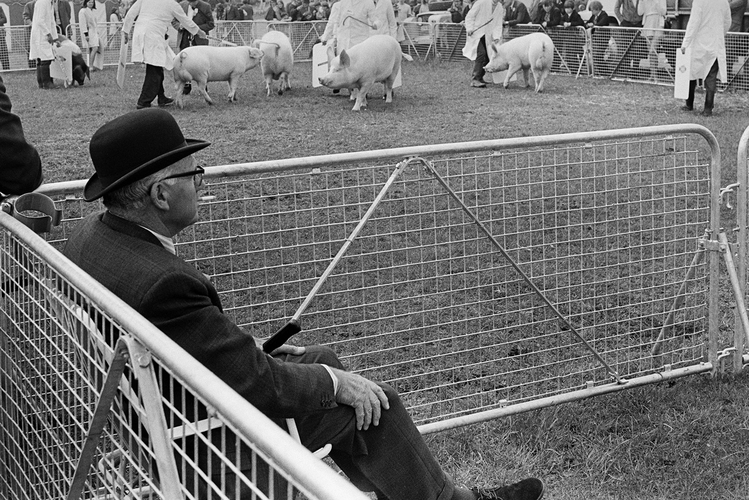 A man wearing a bowler hat and smoking a cigarette, seated in a pen with pigs being shown at the Devon County Show in Whipton, Exeter. He is possibly judging the pig show.