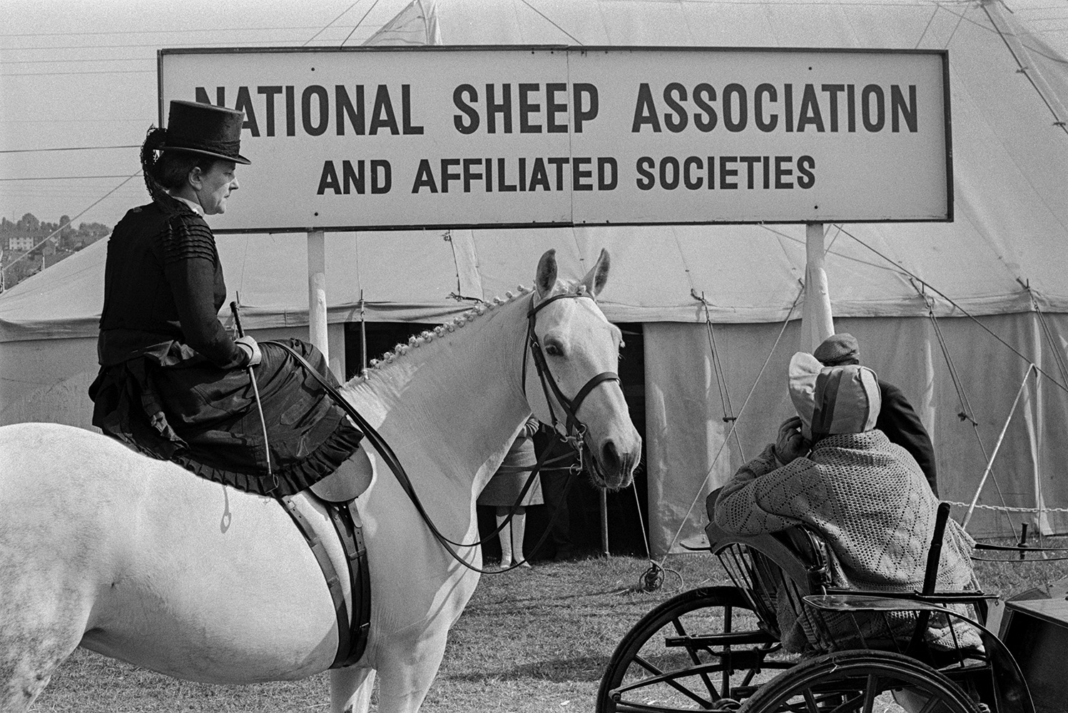 Woman sat side saddle on a horse at the Devon County Show in Whipton, Exeter. She is wearing a top hat. Another woman sat in a small carriage is in front of her. A sign in the background by a marquee reads 'National Sheep Association and Affiliated Societies'.