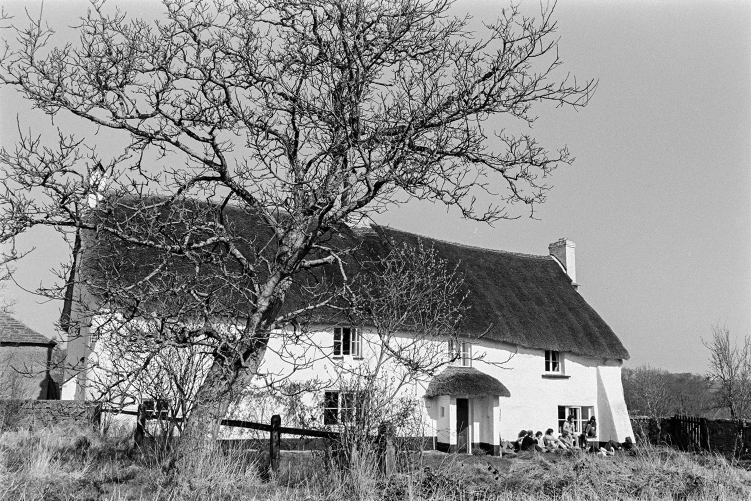 The thatched cottage of the Arvon Centre, behind a tree at Totleigh Barton. A group of people can be seen sat outside the front of the farmhouse. This was the first Arvon Centre.