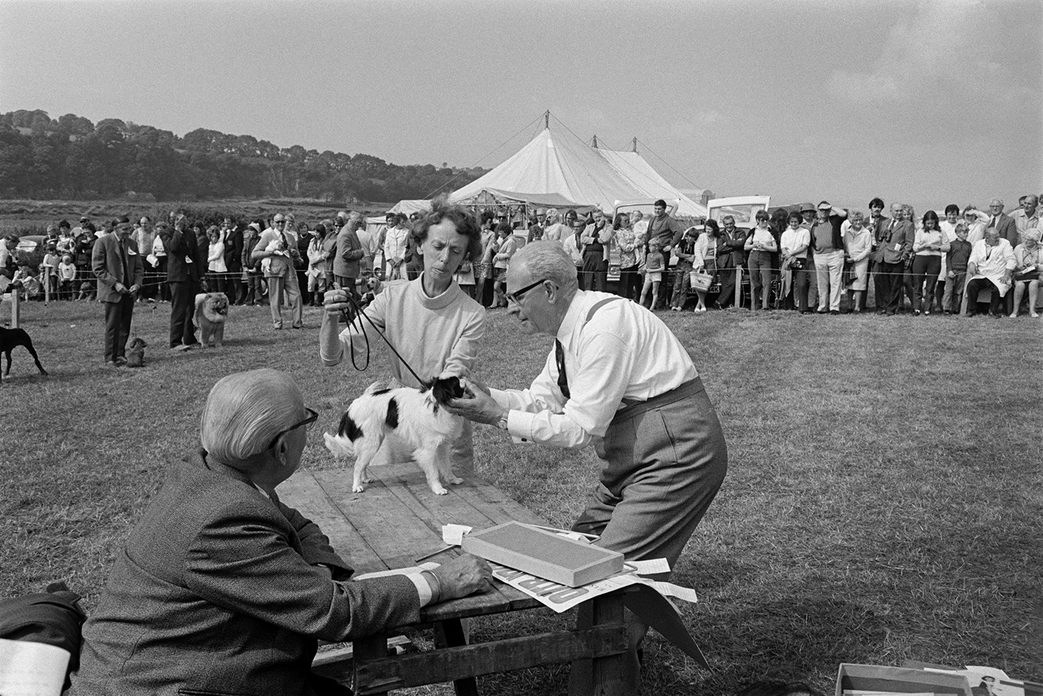 Two men judging a small dog at the North Devon Show at Instow. A woman is holding the dog's lead and a crowd of spectators is watching. A large marquee can be seen in the background.