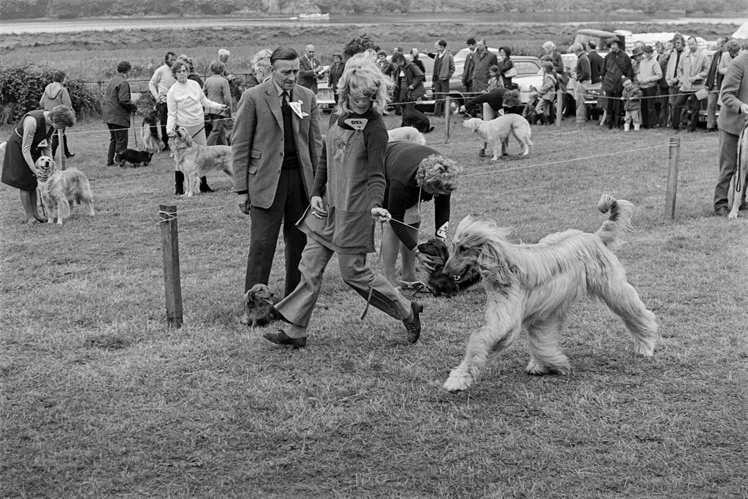 A woman and her dog competing in a dog show at the North Devon Show at Instow. A man is judging the competition. Other dogs waiting to compete can be seen in the background.