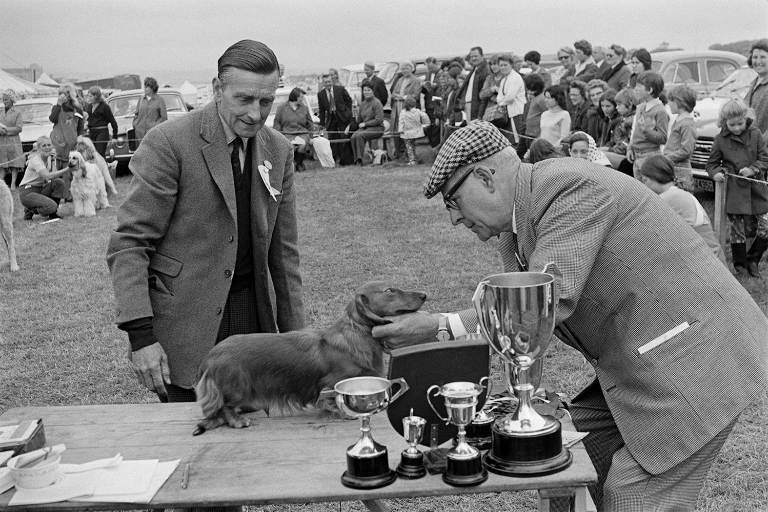 A man judging a Dachshund dog at the North Devon Show at Instow. Another man is watching. The dog is on a table with trophies. Spectators are watching the competition in the background.