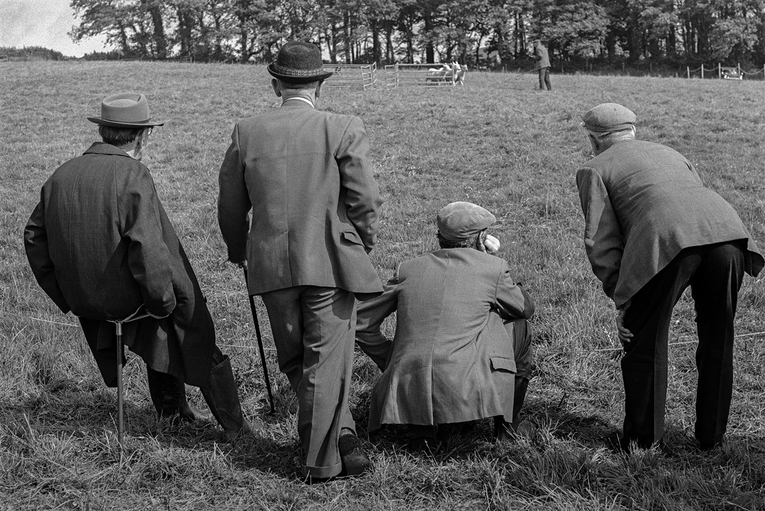 Four men watching sheep dog trials at the North Devon Show at Instow.