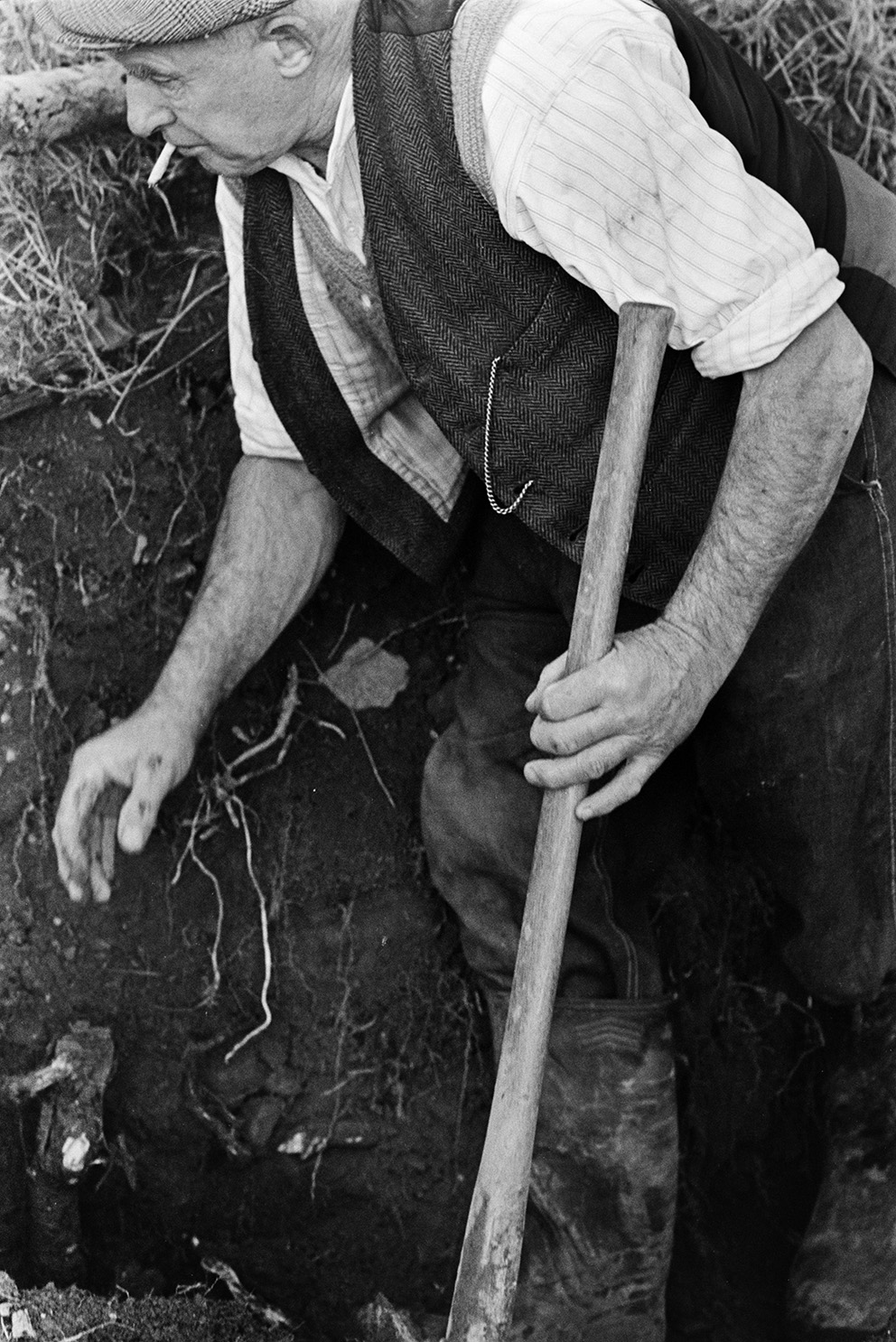 Tom Hooper using a shovel for clatting a hedge at Mill Road Farm, Beaford. He is building up the hedge bank with turf. He is smoking a cigarette and a pocket watch chin can be seen on his waistcoat. The farm was also known as Jeffrys.