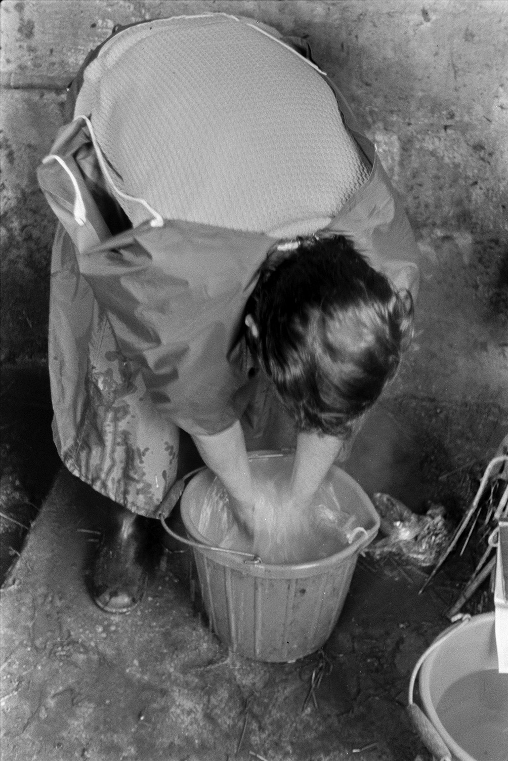 A vet washing their hands in a bucket after artificially inseminating a cow in a shed at Mill Road Farm, Beaford. The farm was also known as Jeffrys.