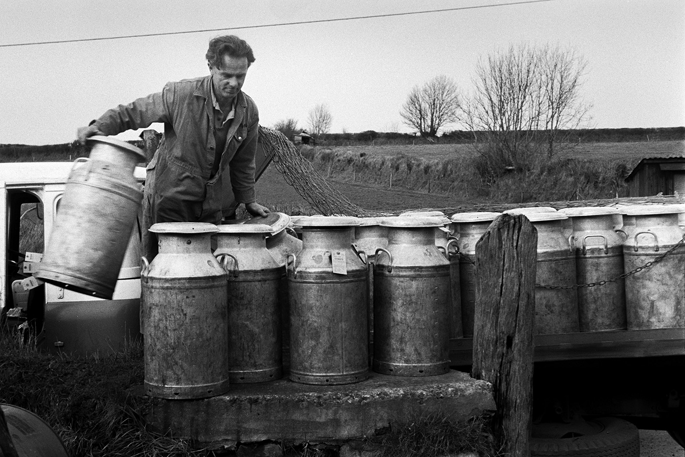 A man loading milk churns onto a milk churn stand by a field at Beaford.