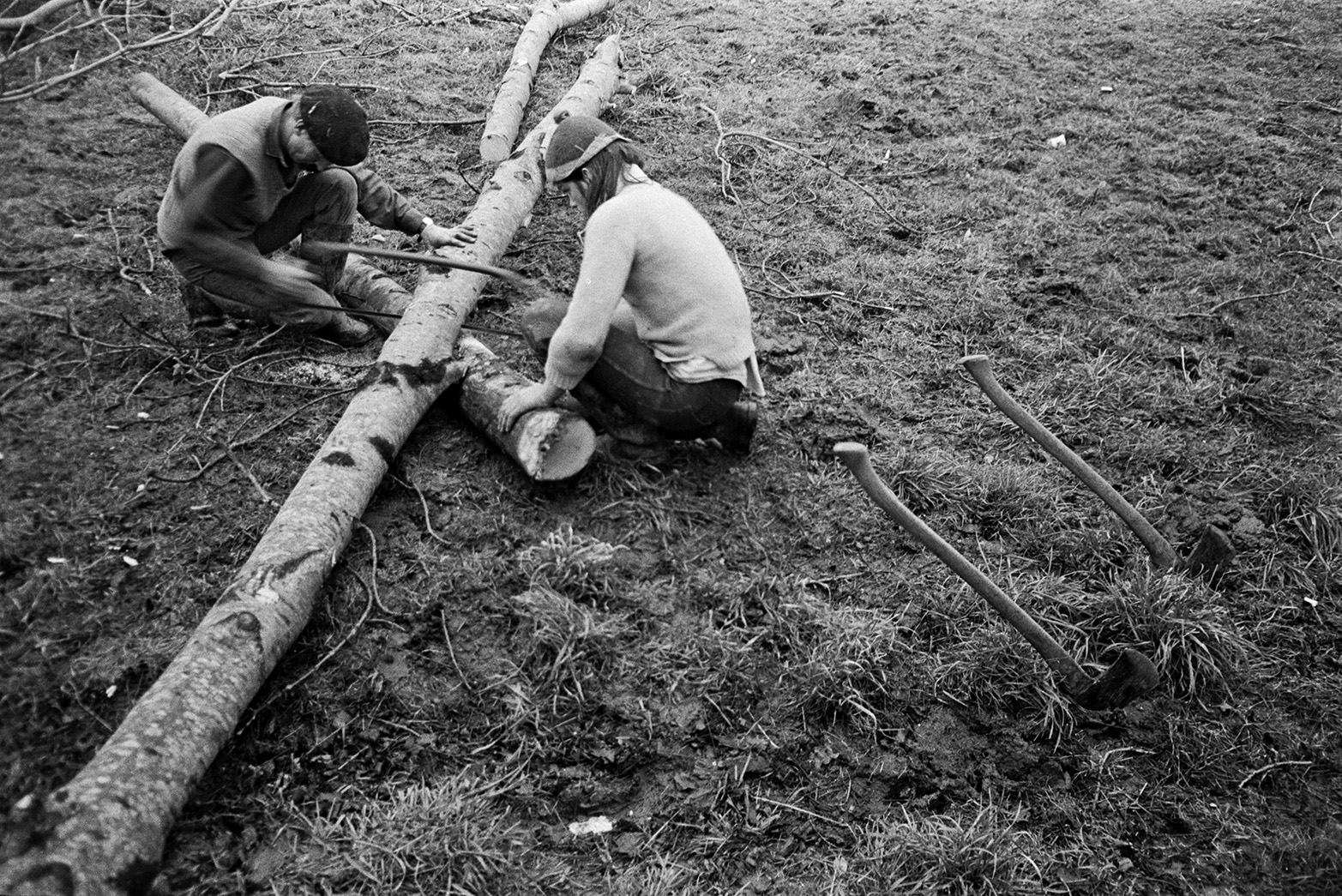 Derek Bright and Ivor Bourne sawing up a tree trunk in a field at Mill Road Farm, Beaford. Two axes are on the grass behind them. The farm was also known as Jeffrys.