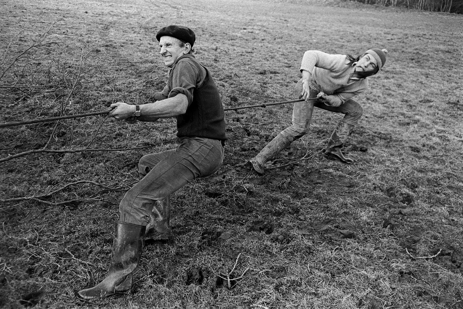 Ivor Bourne and Derek Bright pulling a rope attached to a tree they are felling by the flooded River Torridge, in a field at Mill Road Farm, Beaford. The farm was also known as Jeffrys.
