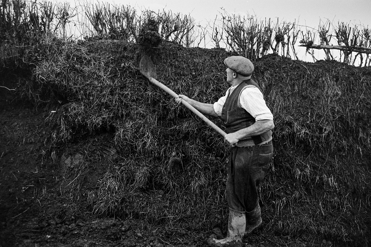 Tom Hooper clatting, building up the hedgebank with squares of turf, with a spade, in a field at Mill Road Farm, Beaford. The farm was also known as Jeffrys.