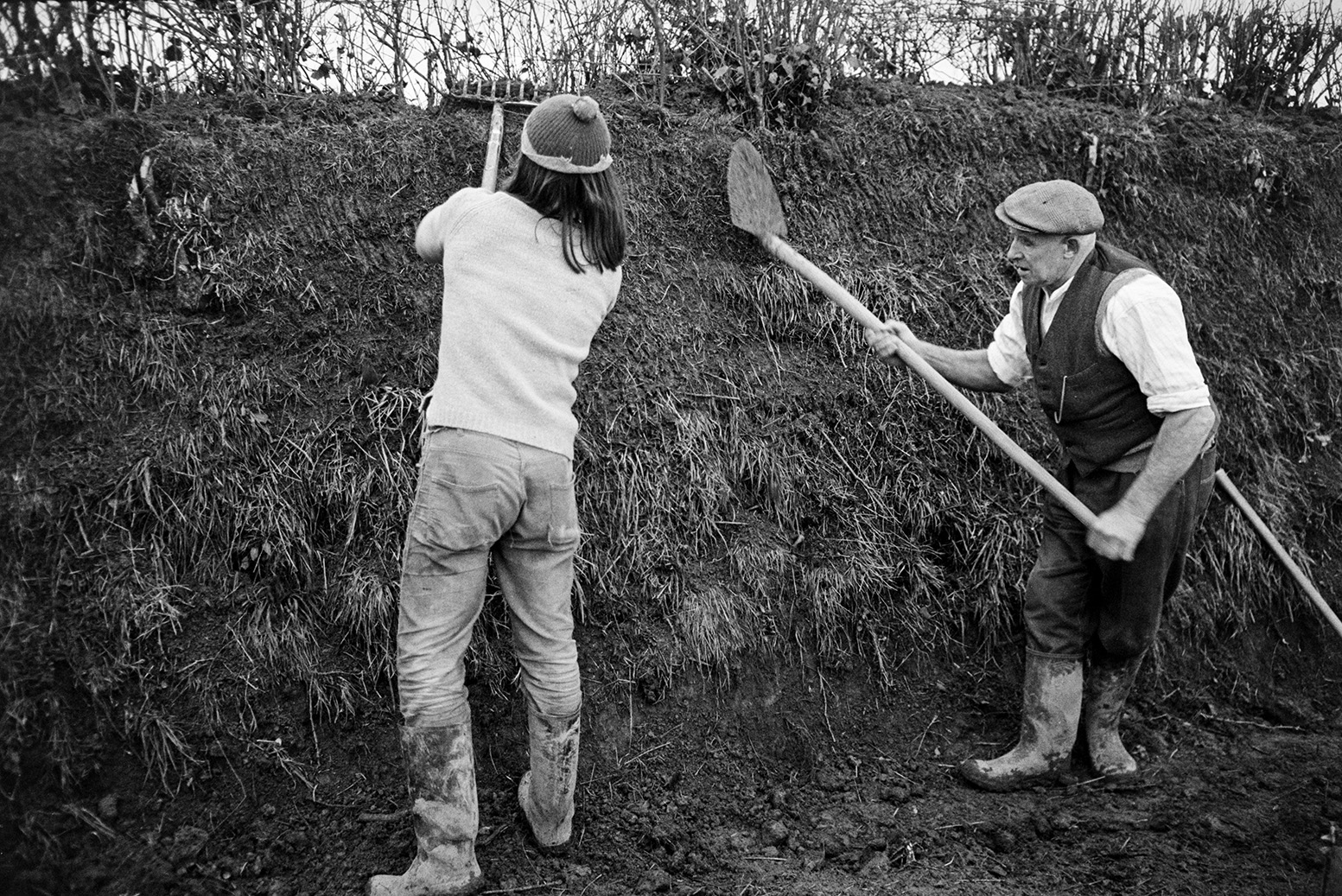 Derek Bright, on the left, and Tom Hooper clatting, building up the hedgebank with squares of turf, in a field at Mill Road Farm, Beaford. They are using a fork and spade. The farm was also known as Jeffrys.