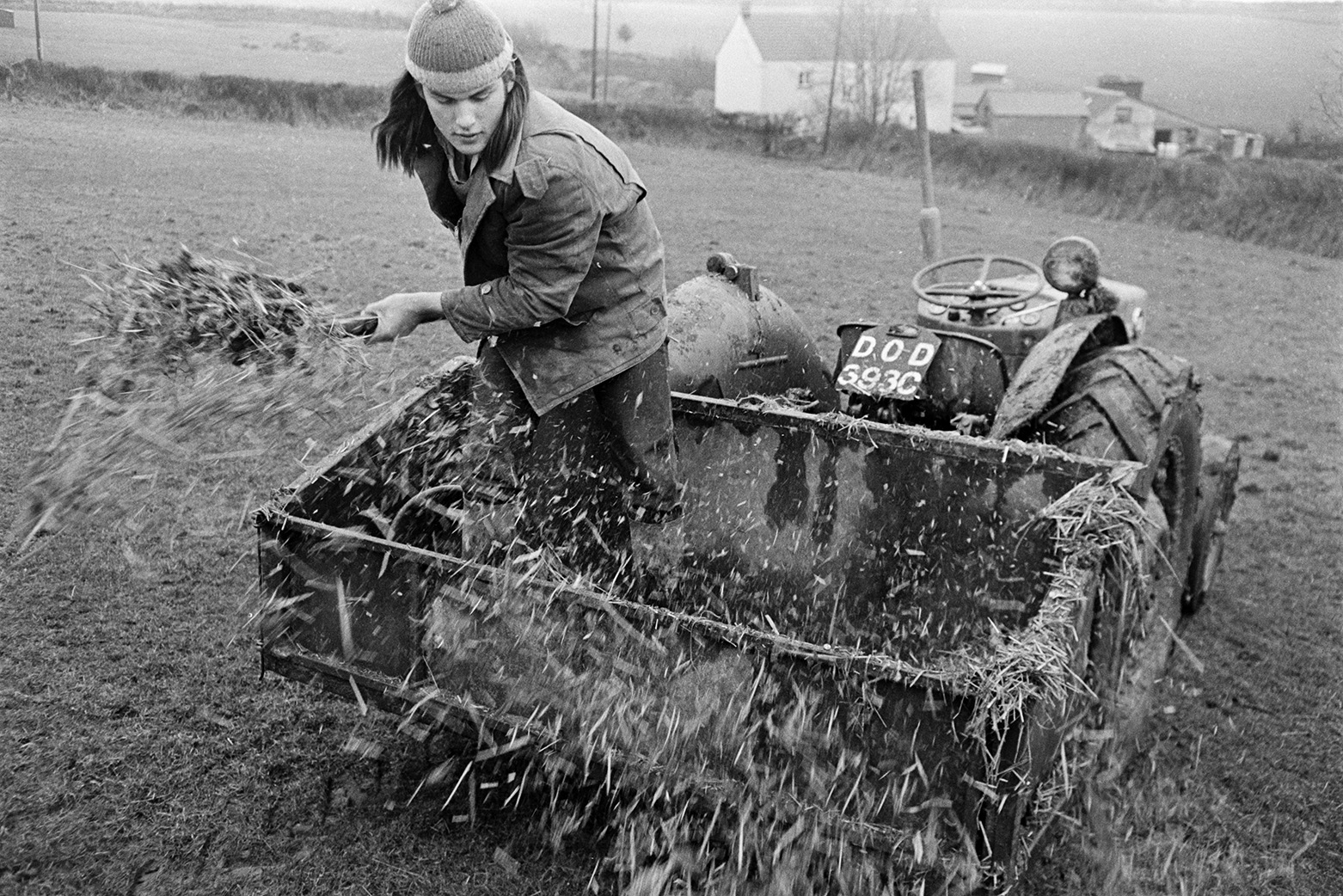 Derek Bright muckspreading by hand from a tractor and link box, in a field at Mill Road Farm, Beaford. The farm was also known as Jeffrys.