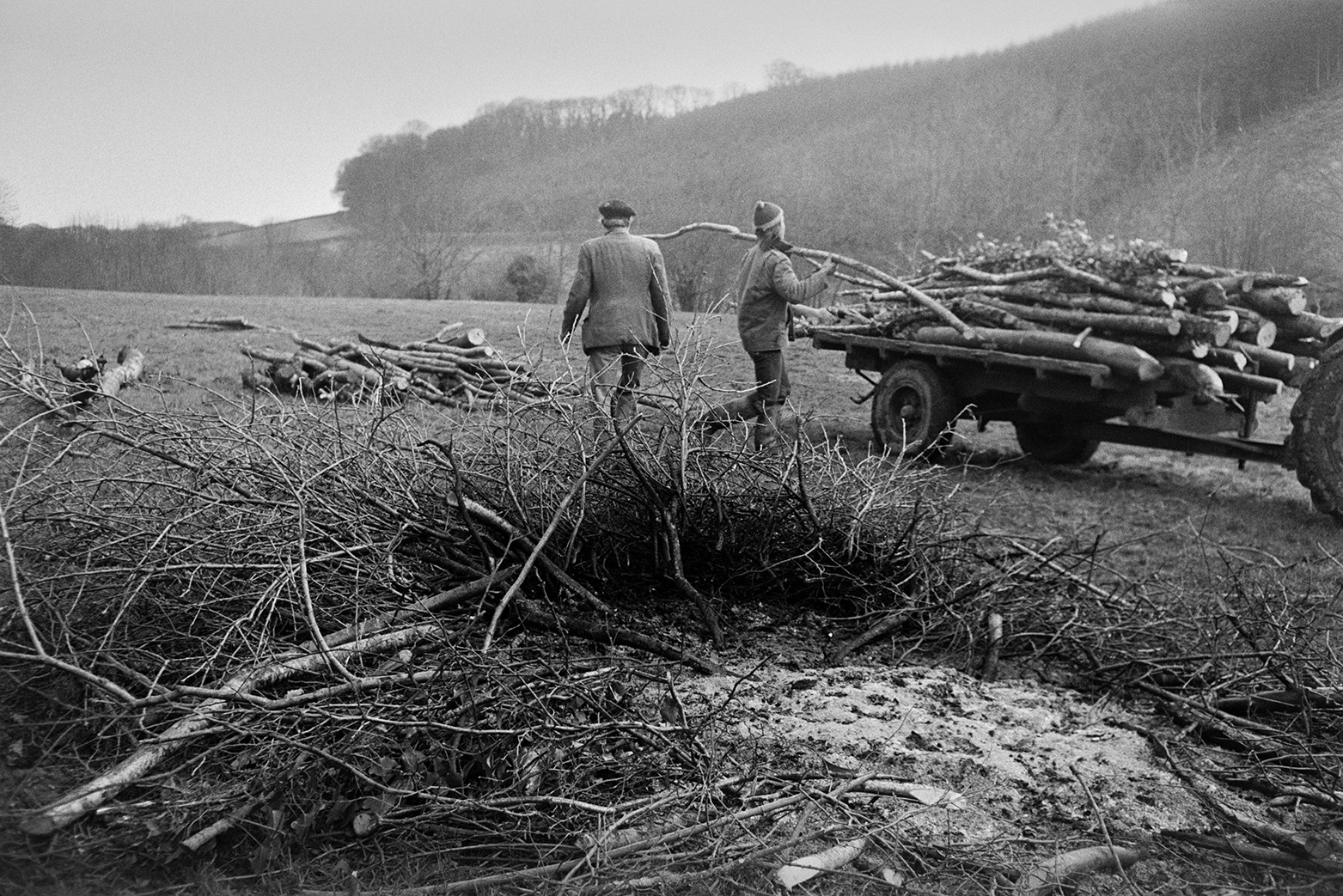 Derek Bright and Ivor Bourne loading logs from felled trees onto a trailer in a field at Mill Road Farm, near Beaford Bridge. The farm was also known as Jeffrys.