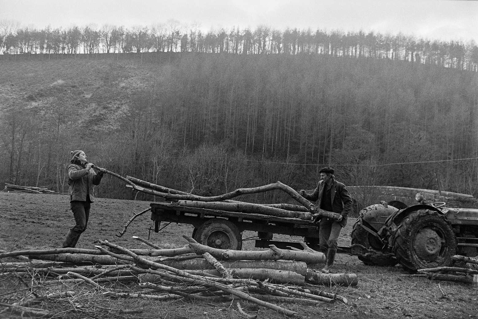 Derek Bright  and Ivor Bourne loading logs from felled trees onto a trailer in a field at Mill Road Farm, Beaford near Beaford Bridge. Woodland is visible on the hillside in the background. The farm was also known as Jeffrys.
