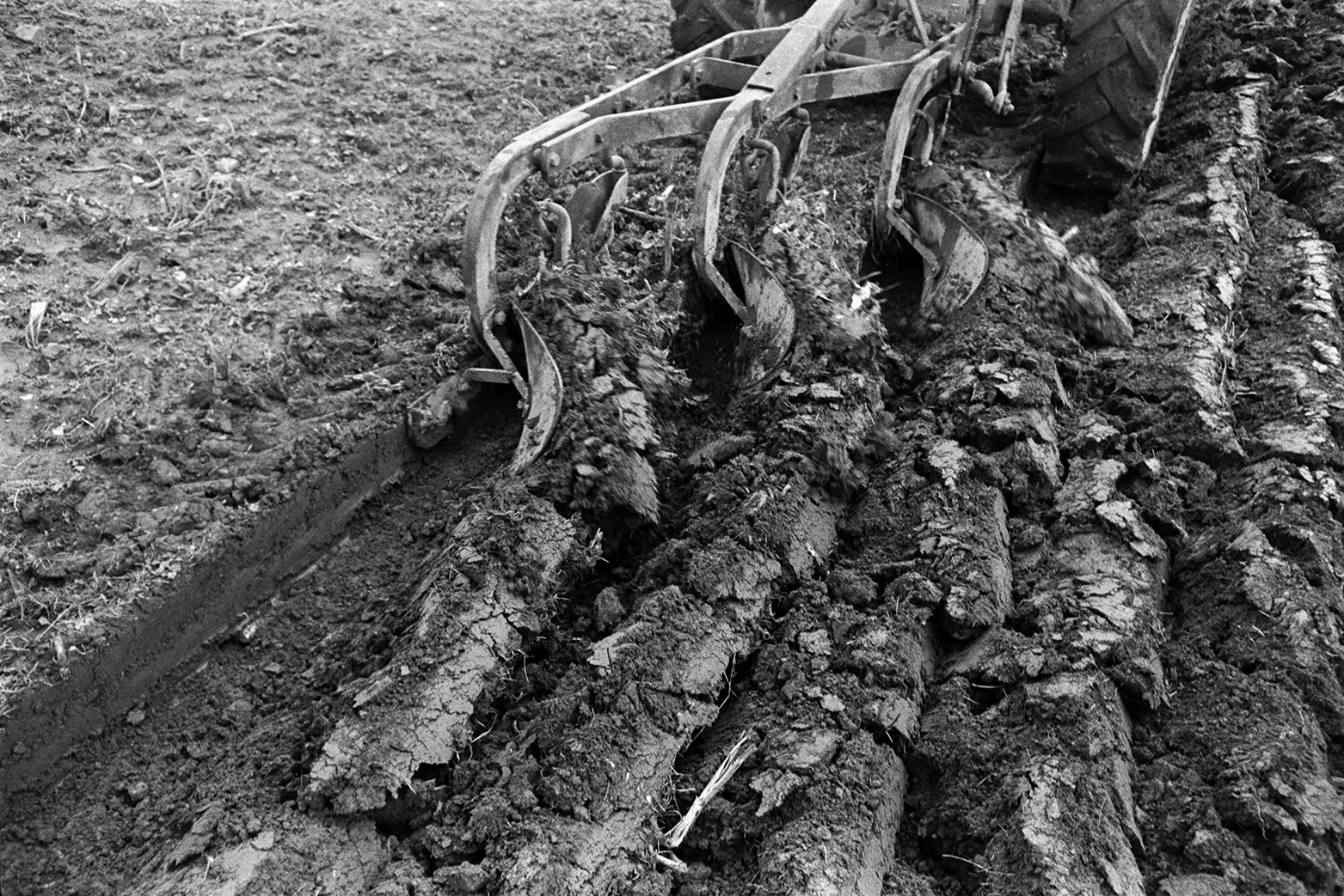 A close up of a plough and the furrow of earth it has made in a field at Mill Road Farm, Beaford. The field is being ploughed to plant corn. The farm was also known as Jeffrys.