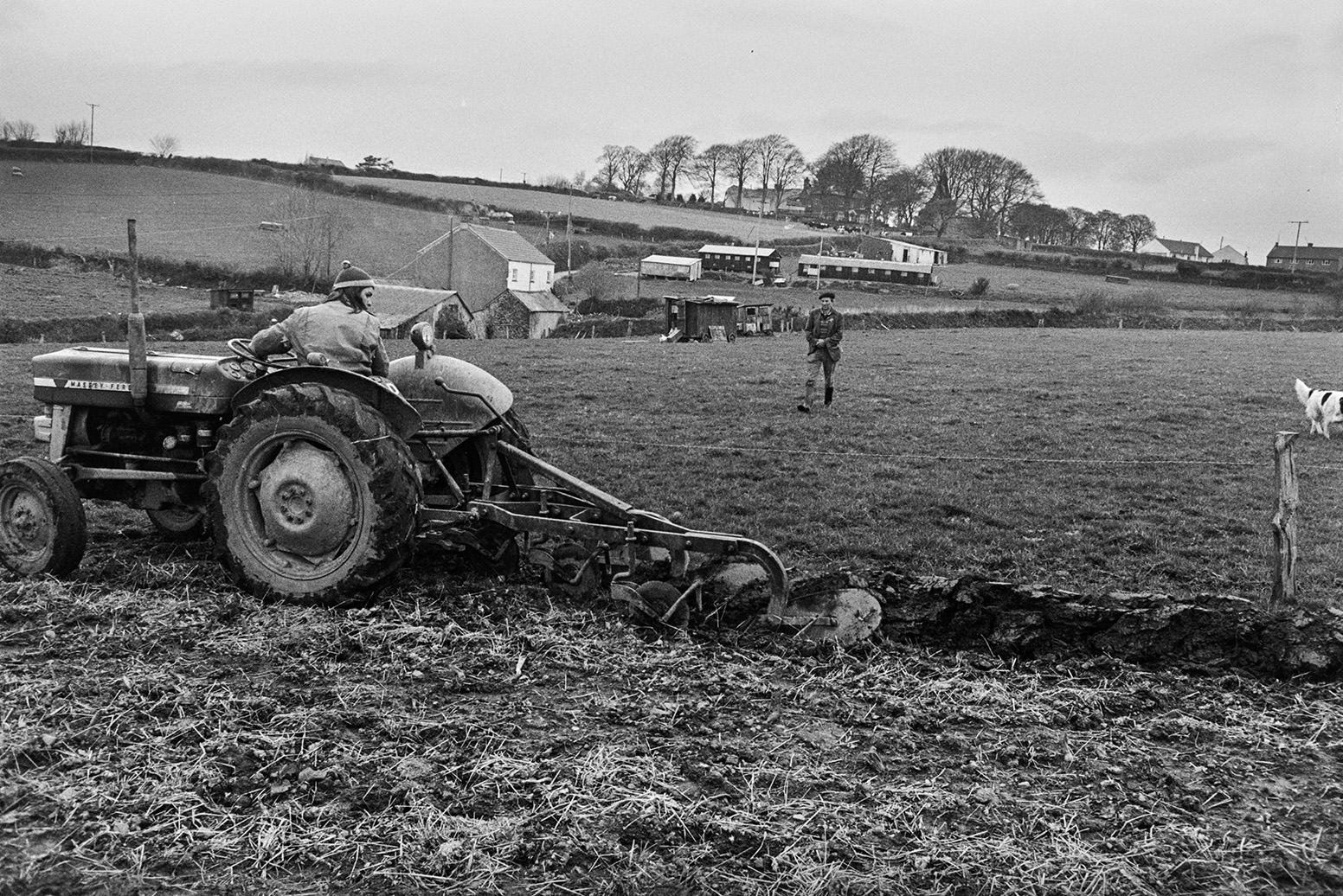 Derek Bright ploughing a field at Mill Road Farm, Beaford so it is ready to plant corn. Ivor Bourne is walking towards him and farm buildings can be seen in the background. The farm was also known as Jeffrys.
