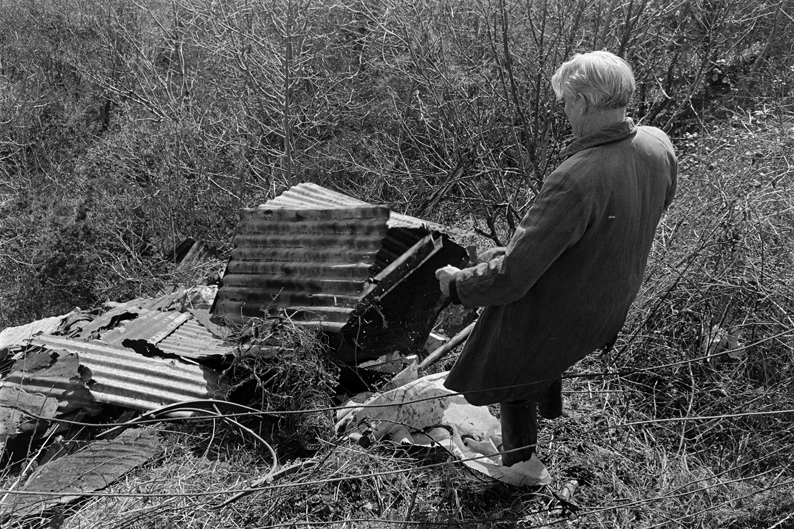 Ivor Bourne dumping old corrugated iron sheets and brambles by a hedge and tree in Beaford.