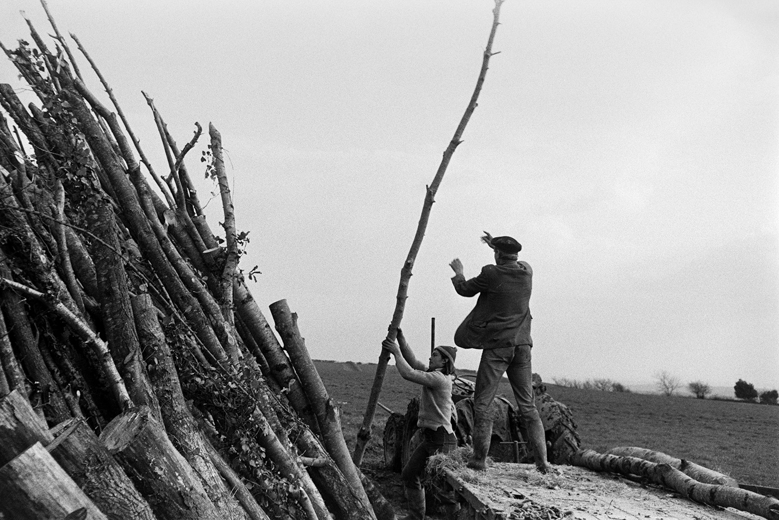 Derek Bright and Ivor Bourne unloading logs from a trailer and stacking them up against a hedge, in a field at Mill Road Farm, Beaford. Ivor is stood on the trailer. The farm was also known as Jeffrys.