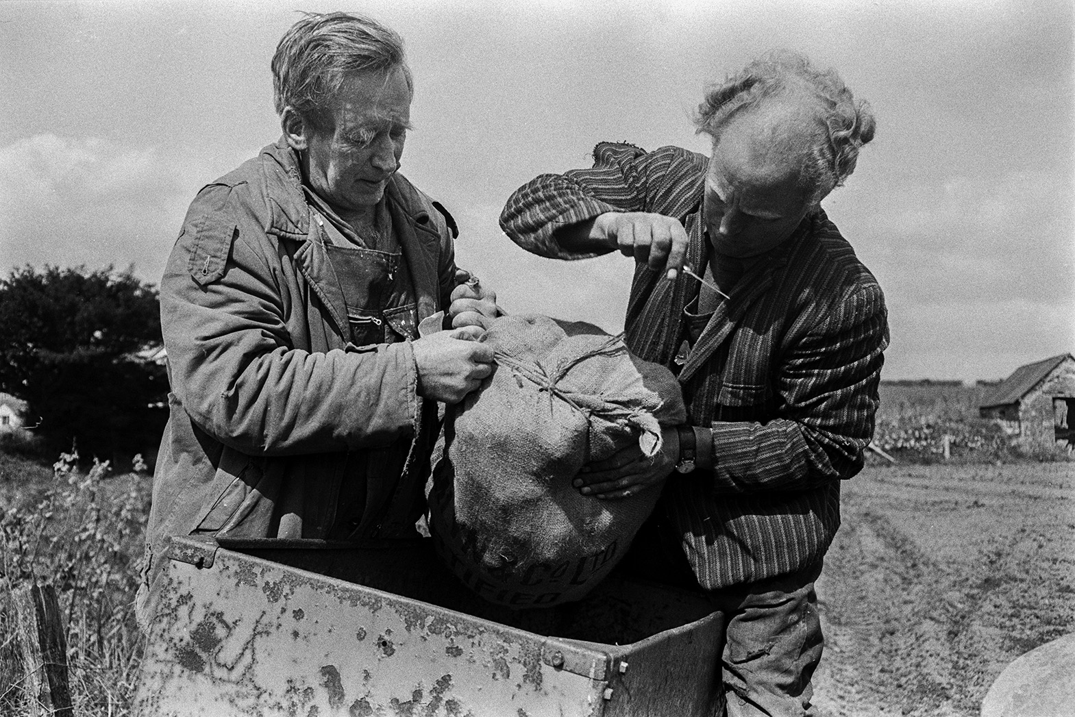 Two men loading a potato tiller with seed potatoes for planting in a field at Mill Road Farm, Beaford. The farm was also known as Jeffrys.