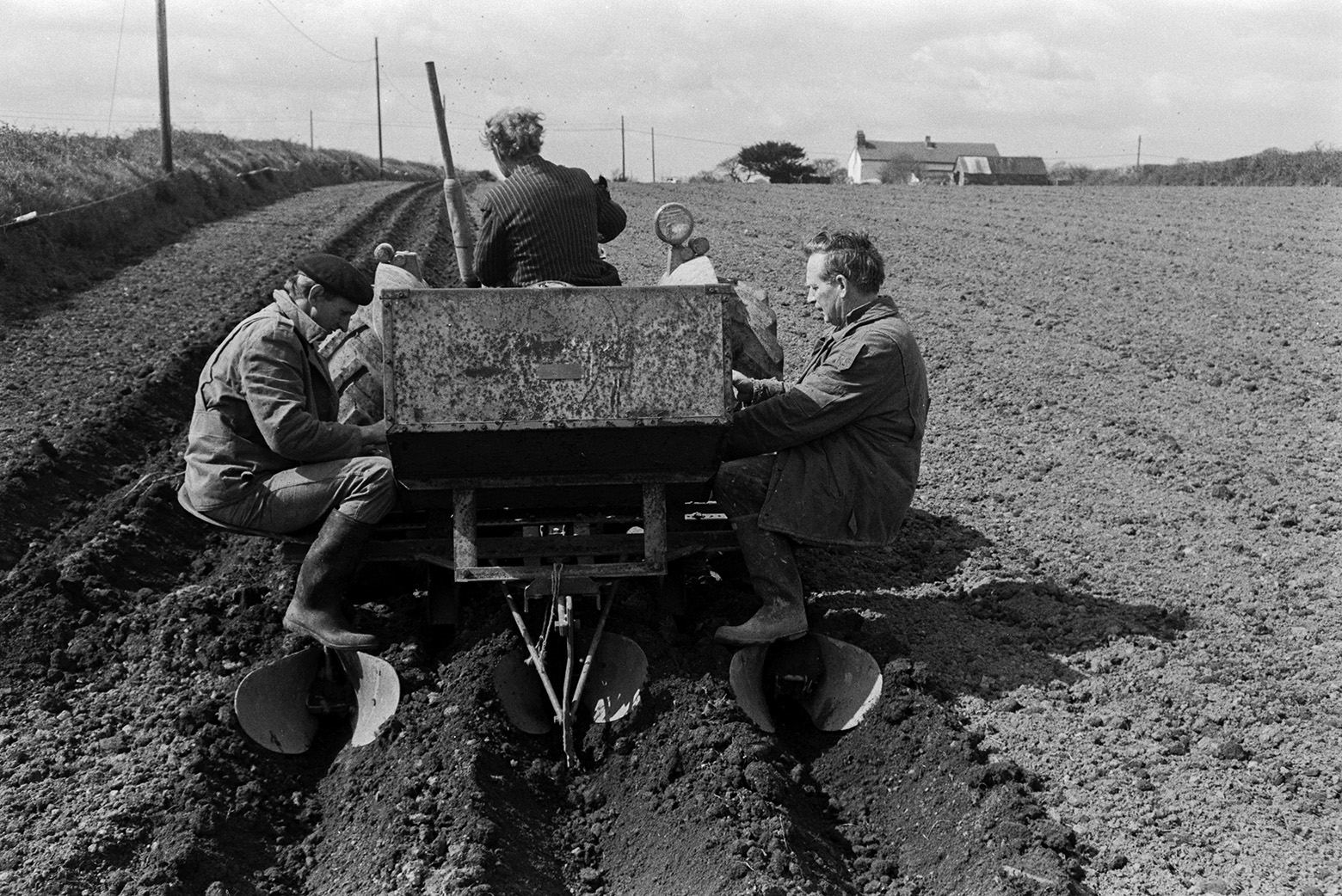 Men planting seed potatoes using a potato tiller in at field at Mill Road Farm, Beaford. Ivor Bourne is sat on the left of the potato tiller. The farm was also known as Jeffrys.