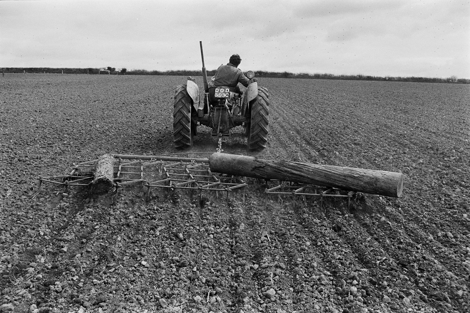 A man dragging a harrow over a field at Mill Road Farm, Beaford to cover corn seed. A log is on top of the harrow to weight it down. The farm was also known as Jeffrys.