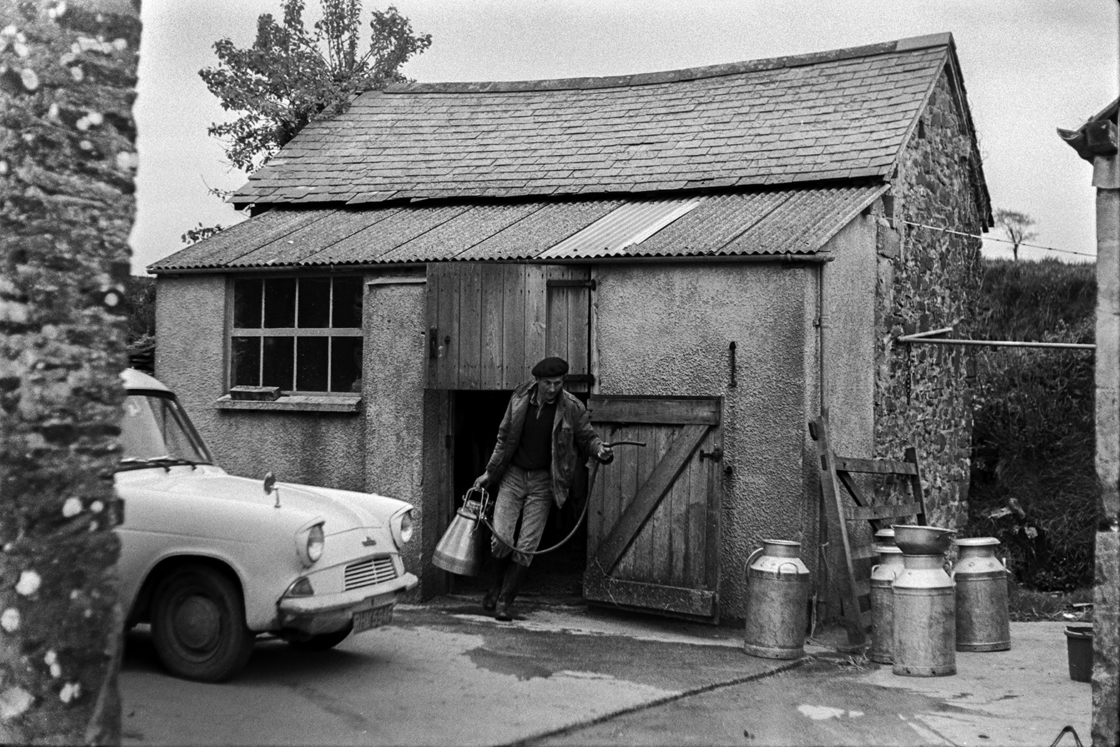 Ivor Bourne walking out of milking parlour carrying a milking machine at Mill Road Farm, Beaford. A car and milk churns are in the farmyard. The farm was also known as Jeffrys.