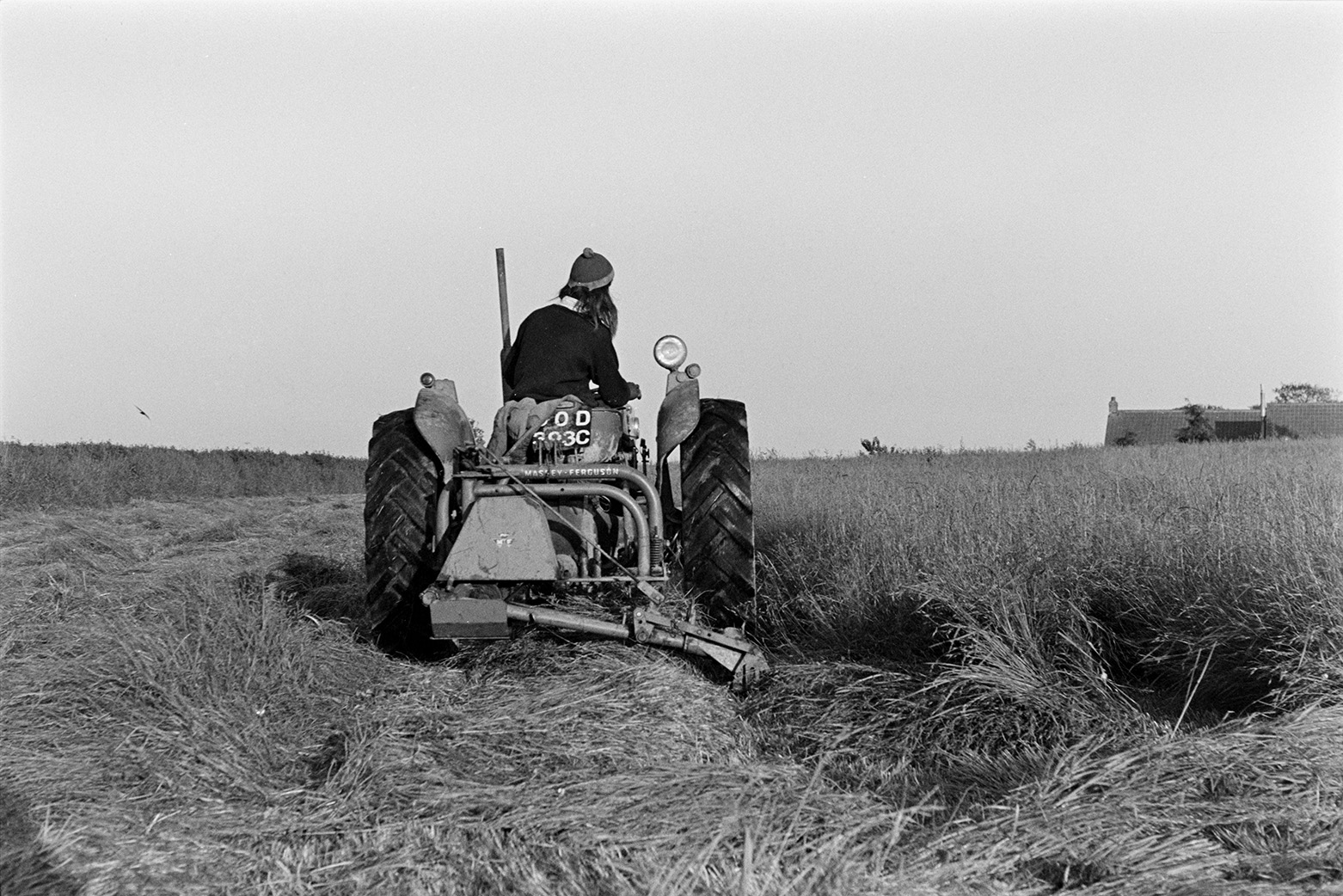 Derek Bright using a tractor and mower to cut hay in a field at Mill Road Farm, Beaford. The farm was also known as Jeffrys.