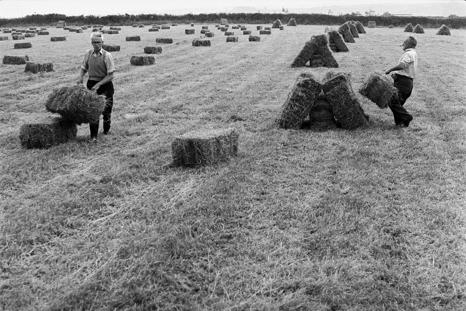 Two men stacking hay bales in a field at Mill Road Farm, Beaford, before they are loaded onto a trailer. The farm was also known as Jeffrys.