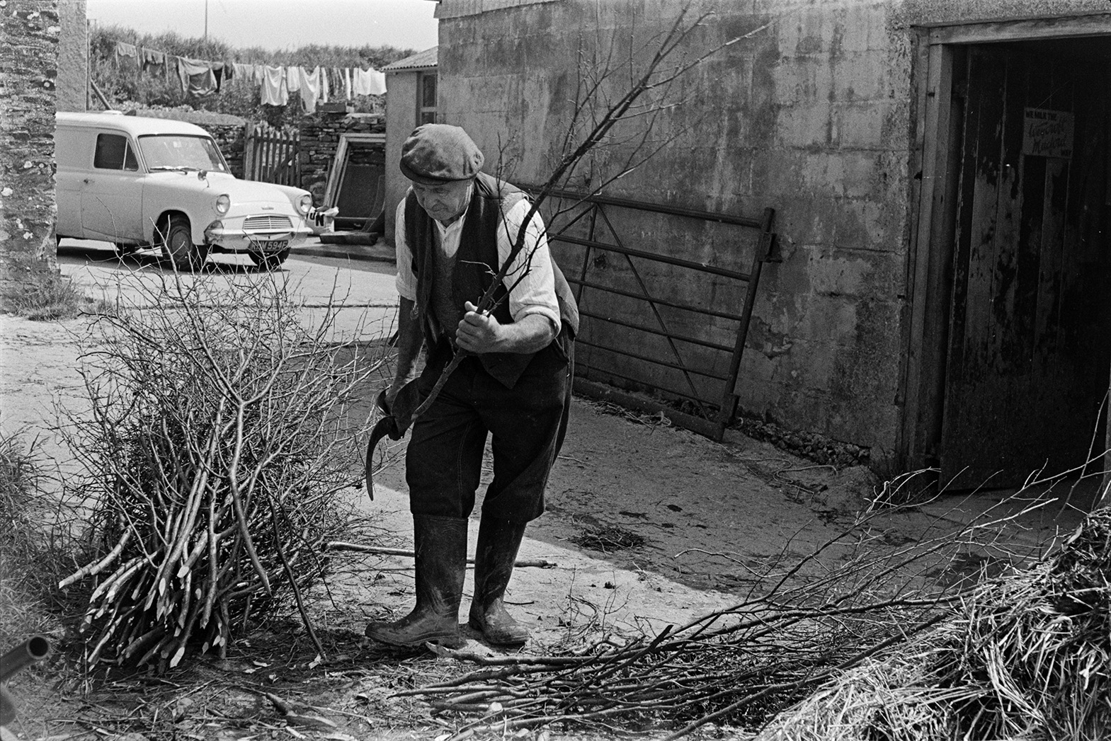 Tom Hooper trimming pea stick using a bill hook, bundling them up in a farmyard at Beaford. A van and washing line can be seen in the background.