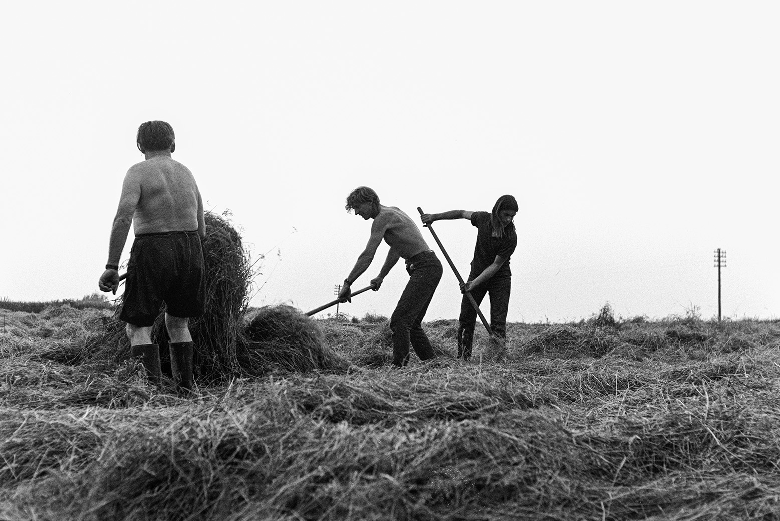 Derek Bright, on the right, Ivor Bourne, in the centre, and another man using forks to turn hay to dry it out in a field at Mill Road Farm, Beaford. The farm was also known as Jeffrys.