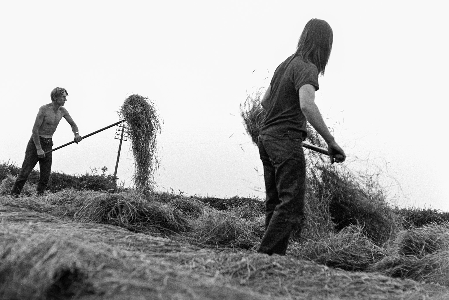 Derek Bright, on the right, and Ivor Bourne using forks to turn hay to dry it out in a field at Mill Road Farm, Beaford. The farm was also known as Jeffrys.