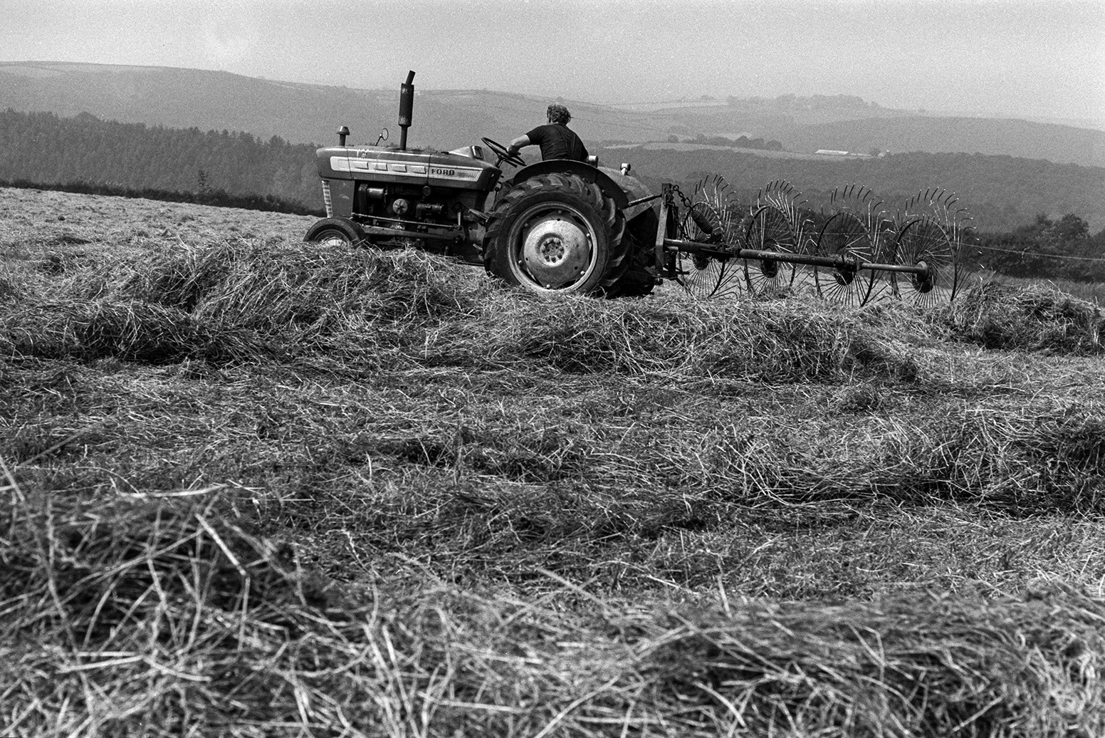 A man driving a tractor and hay whisk to turn hay, in a field at Beaford.