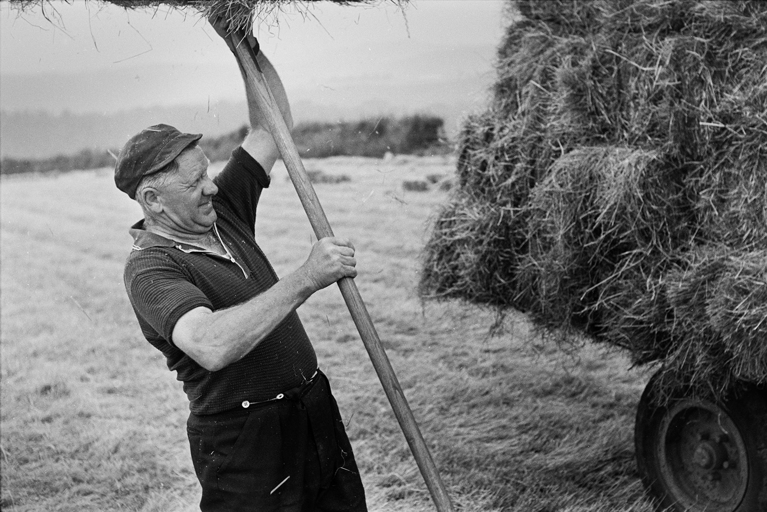 A man loading a hay bale onto a trailer using a pitchfork in a field at Mill Road Farm, Beaford. The farm was also known as Jeffrys.