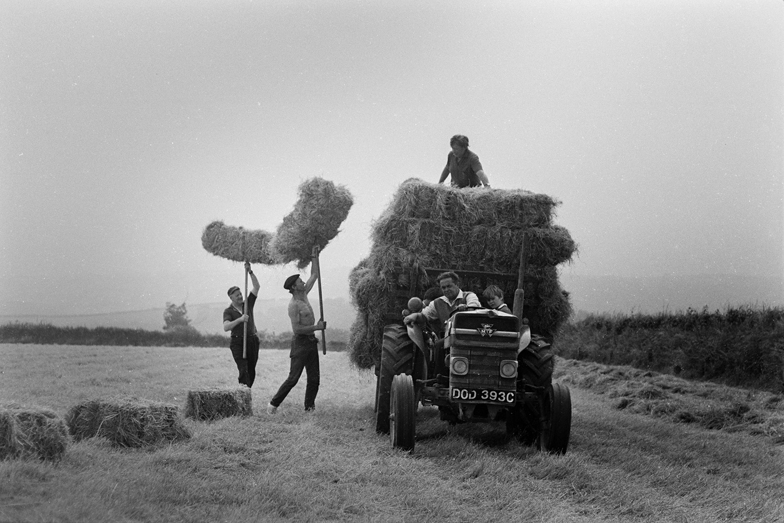 Men loading hay bales onto a trailer using pitchforks, in a field at Mill Road Farm, Beaford. Children are sat on the tractor and the man lifting a hay bale next to the tractor is Ivor Bourne. The farm was also known as Jeffrys.