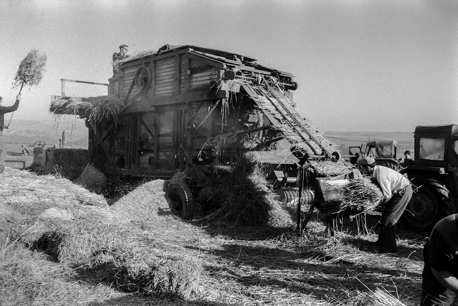 Men reed coming in a field in Beaford. Men are loading reed into the top of the machine. It is threshing the grain from the reed, which is then bundled by a man at the bottom of the reed comber to be used in thatching.