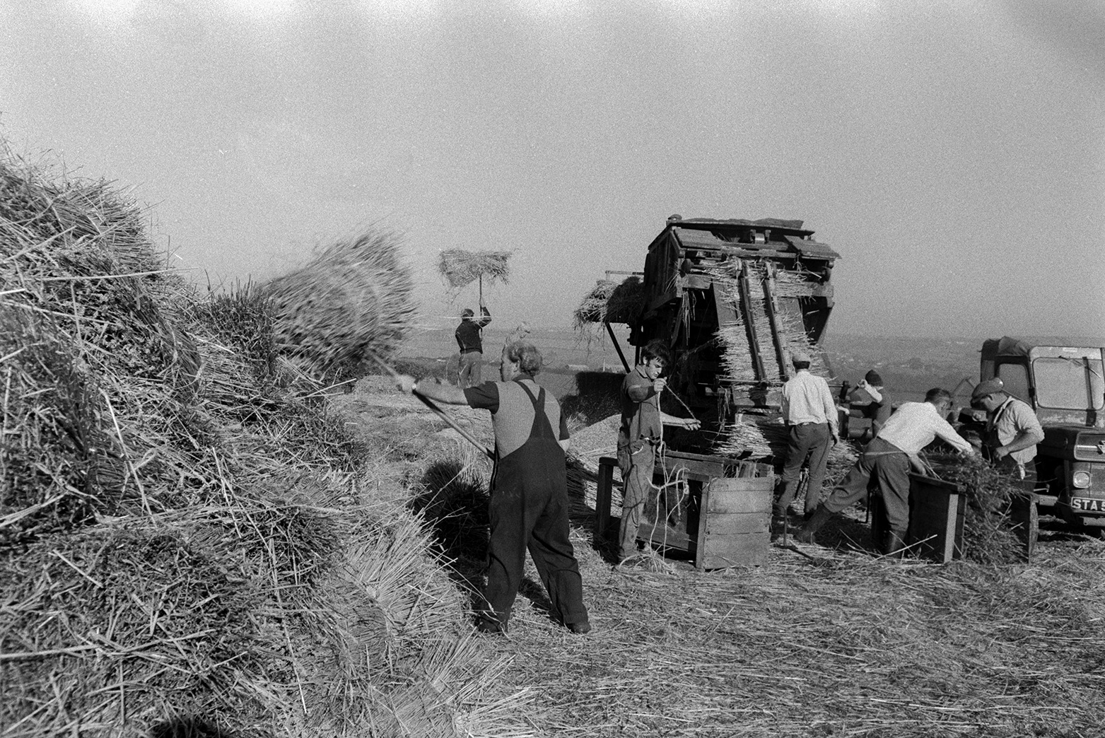 Men reed coming in a field in Beaford. Men are bundling up the reed at the bottom of the reed comber and another man is stacking bundles of reed in a pile in the foreground.