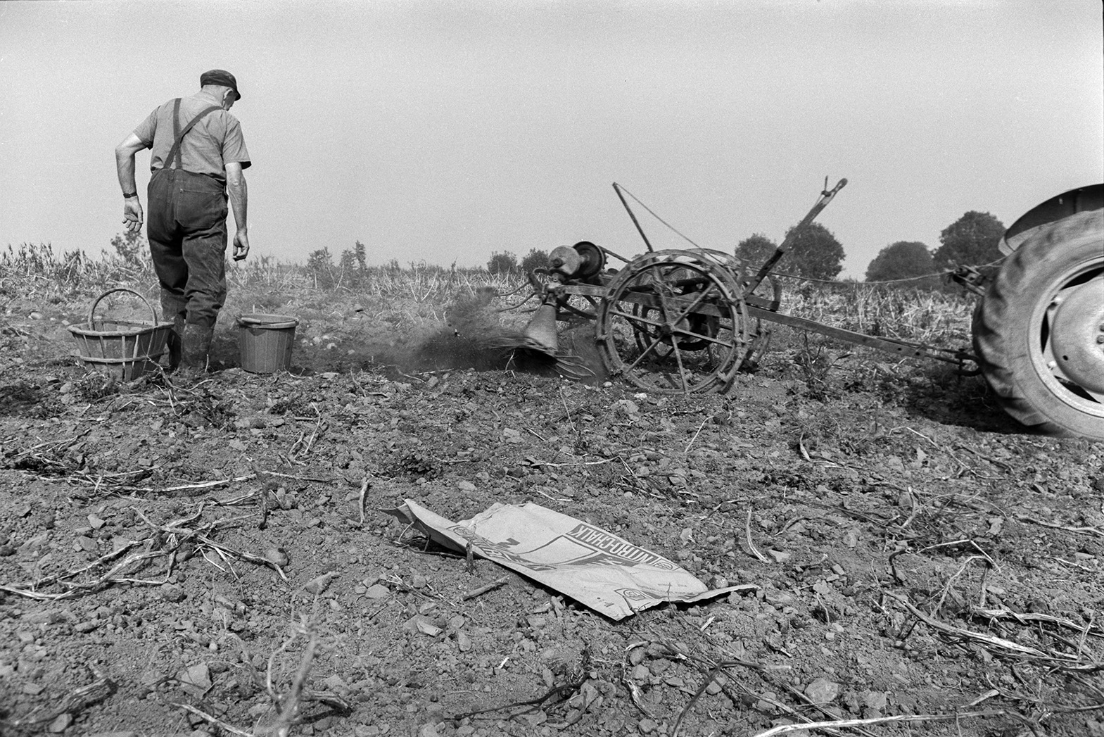 A man watching a machine unearthing potatoes in a field at Mill Road Farm, Beaford. He is going to pick the potatoes out of the soil by hand and place them into a trug or sack. The farm was also known as Jeffrys.
