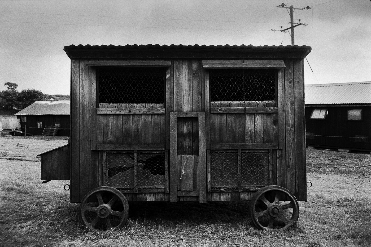 A chicken coop on wheels in a field at Mill Road Farm, Beaford. Other poultry houses can be seen in the background. The farm was also known as Jeffrys.