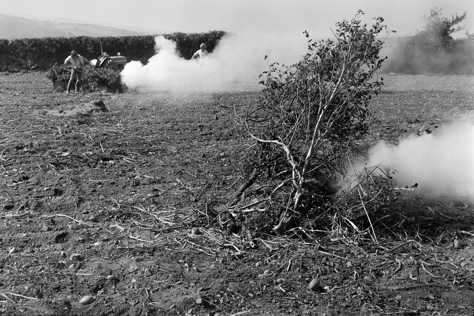 Men burning hedge cuttings and potato stubble in a field at Mill Road Farm, Beaford. The farm was also known as Jeffrys.