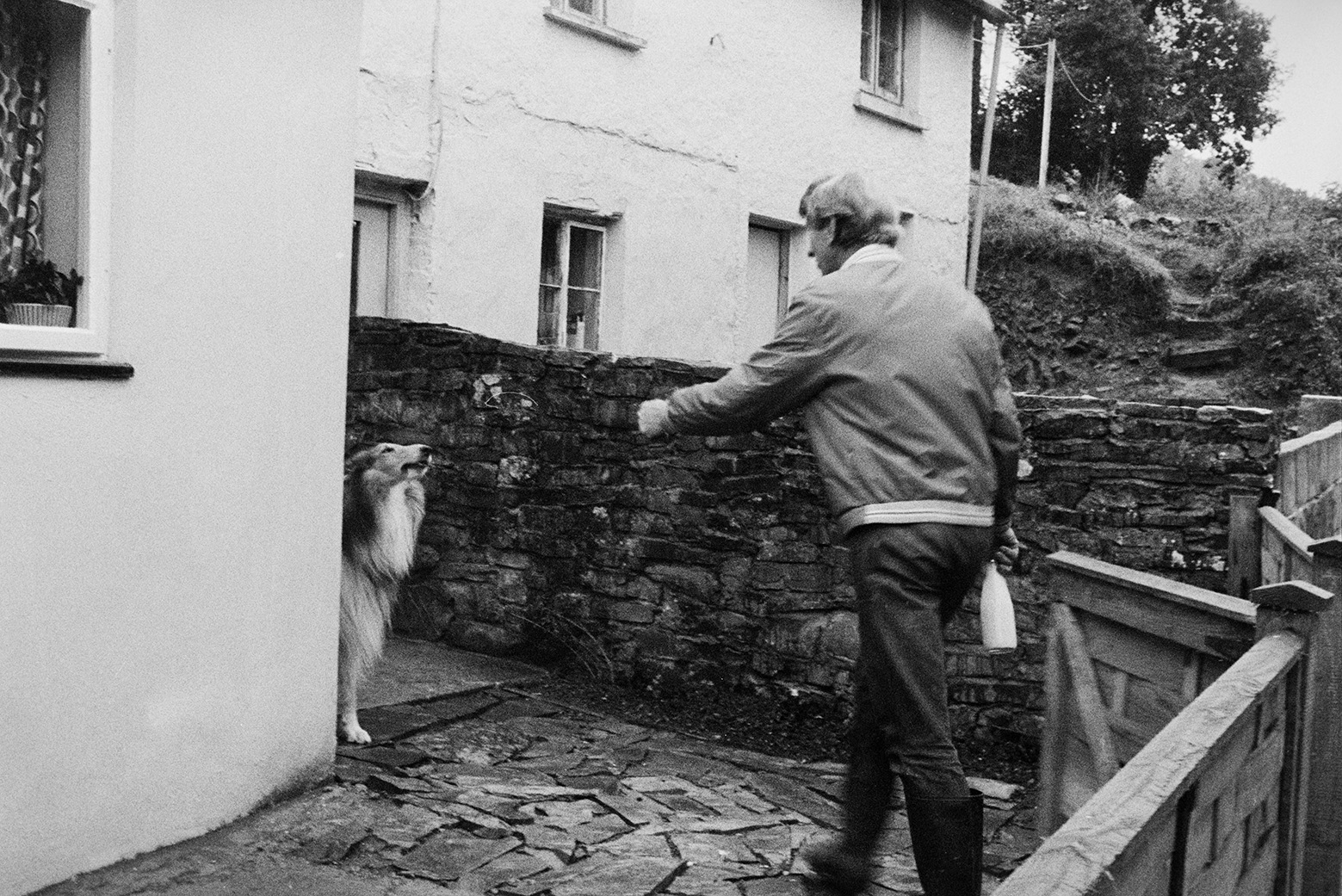 Ivor Bourne delivering a milk bottle to a house in Beaford. He is petting a dog in the front yard of the house.