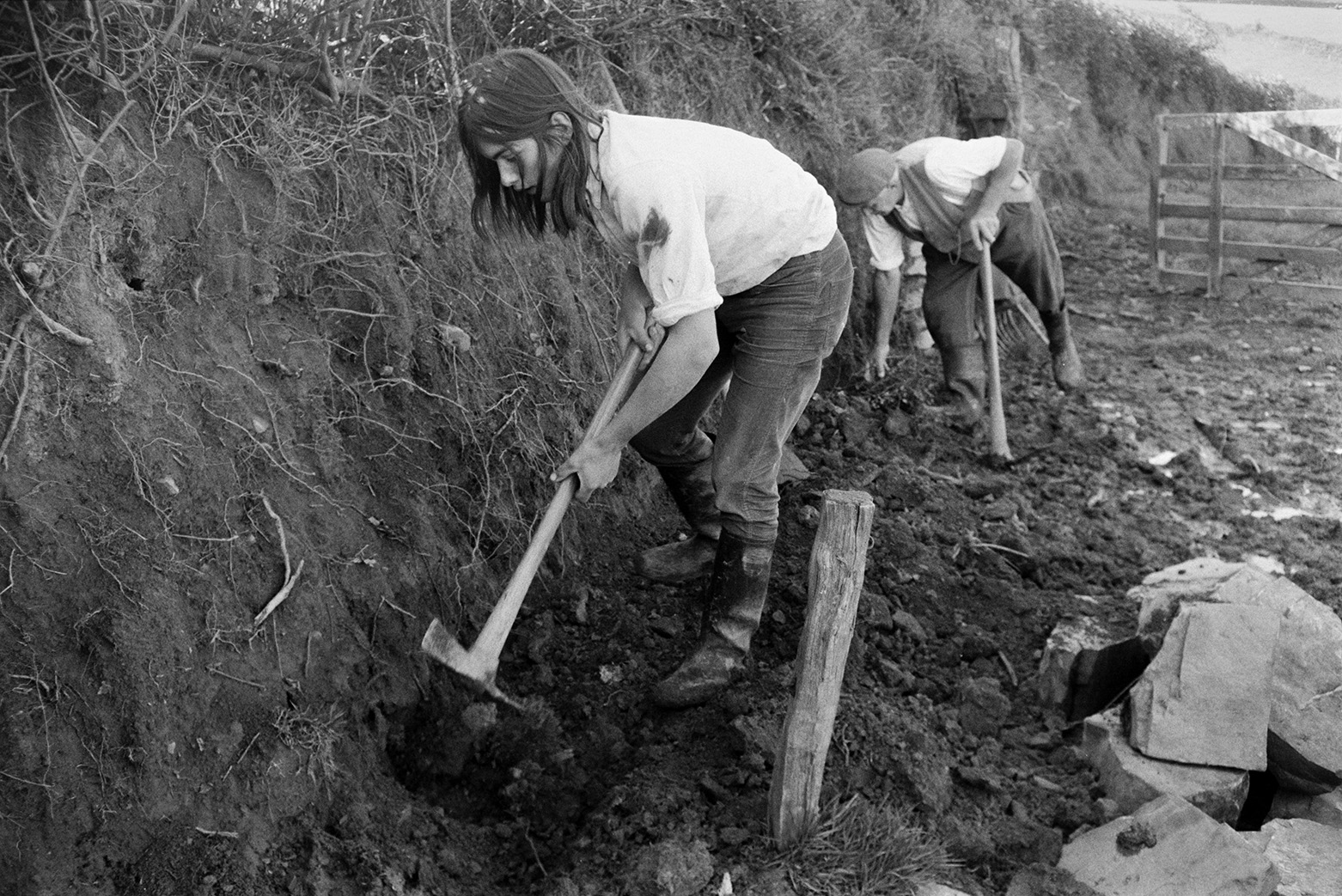 Derek Bright, in the foreground, helping Tom Hooper clear a hedge bank and build a stone wall to support, in a field at Mill Road Farm, Beaford. They are using axes to clear the bottom of the earth bank. The farm was also known as Jeffrys.