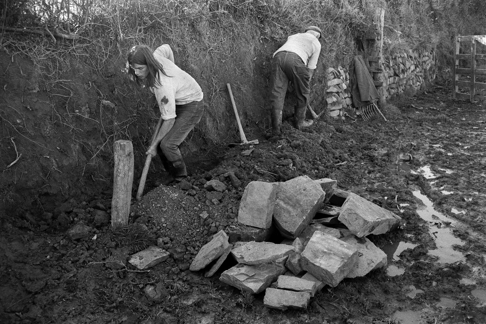 Derek Bright, on the left, helping Tom Hooper clear a hedge bank and build a stone wall to support, in a field at Mill Road Farm, Beaford. They are using axes to clear the bottom of the earth bank. A pile of stones for the wall is in the foreground. The farm was also known as Jeffrys.