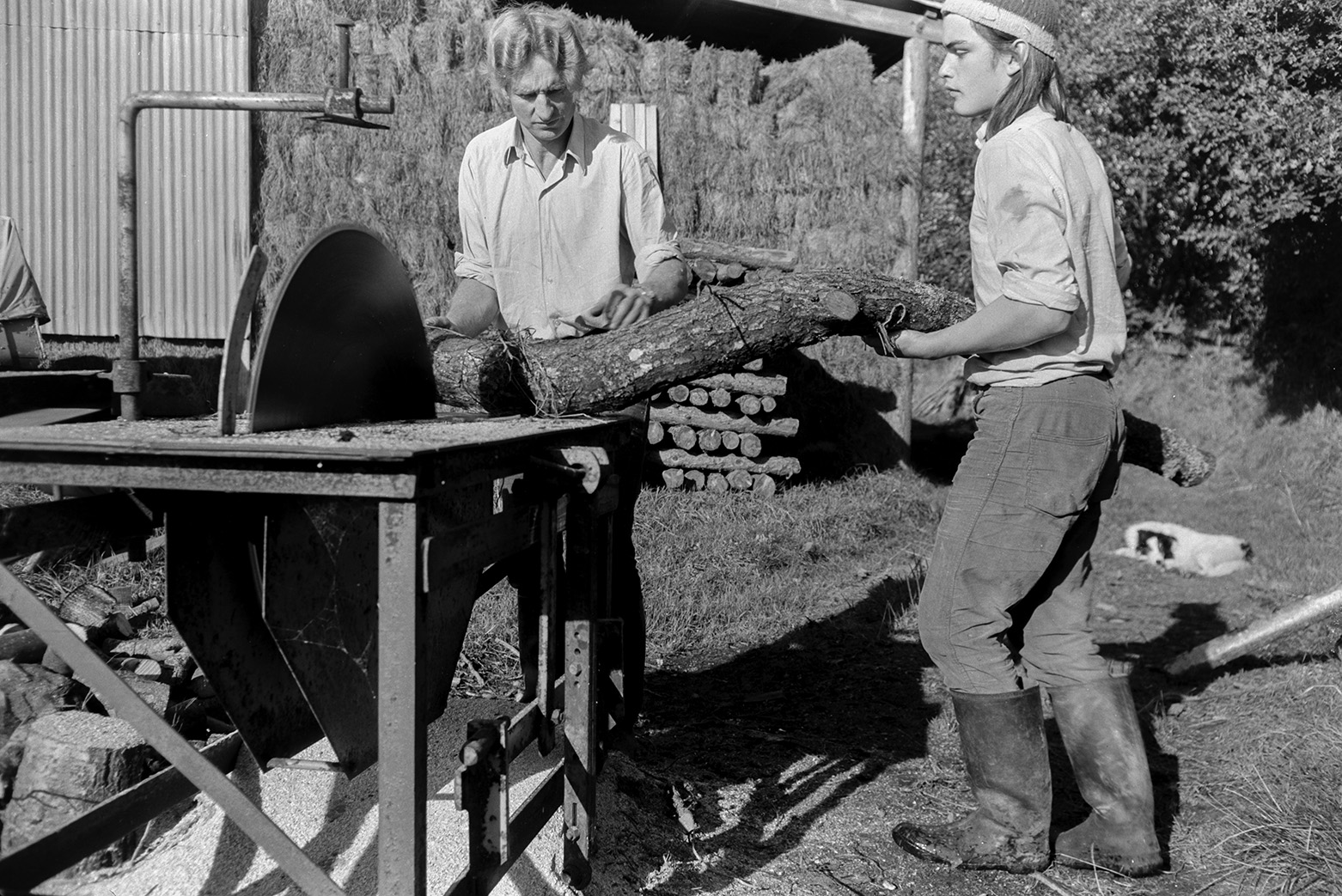 Derek Bright, on the right, helping Ivor Bourne saw logs with a circular saw, in a field at Mill Road Farm, Beaford. A barn with hay bales, and a dog, can be seen in the background.  The farm was also known as Jeffrys.