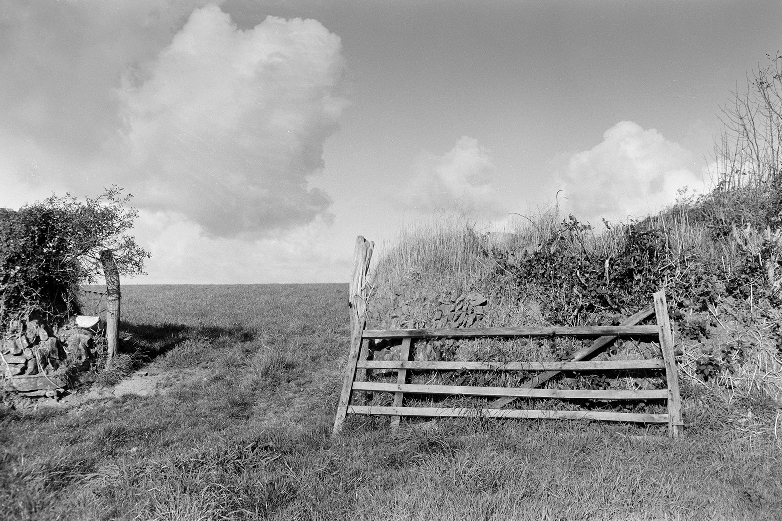 A wooden field gate resting against a hedge  by an open field entrance at Mill Road Farm, Beaford. Clouds are in the sky above.  The farm was also known as Jeffrys.